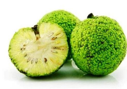 Maccura
